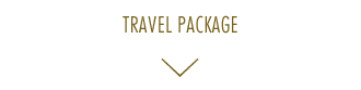 TRAVEL PACKAGE